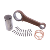 Pleuel Satz Prox 032600