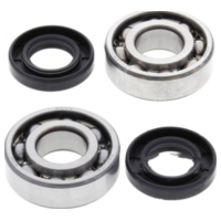 Kurbelwellenlager Satz All Balls Racing 241035