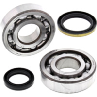 Kurbelwellenlager Satz All Balls Racing 241060