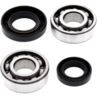 Kurbelwellenlager Satz All Balls Racing 241067