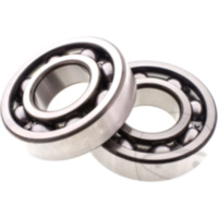 Kurbelwellenlager Satz All Balls Racing 241096