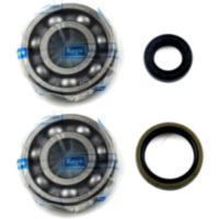 Kurbelwellenlager Satz Athena P400510444002