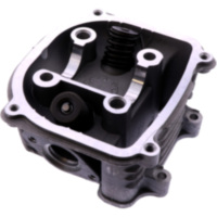 Zylinderkopf ohne SLS