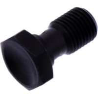 Hohlschraube einfach 1054042