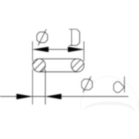 O-Ring untere Federführung