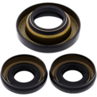 Differential Reparatursatz vorne All Balls Racing 2520045