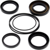 Differential Reparatursatz hinten All Balls Racing 2520105