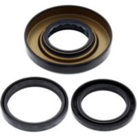 Differential Reparatursatz hinten All Balls Racing 2520125