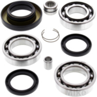 Differential Reparatursatz hinten All Balls Racing 252014