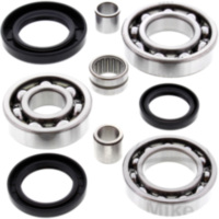 Differential Reparatursatz hinten All Balls Racing 252020