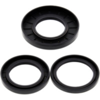 Differential Reparatursatz hinten All Balls Racing 2520215