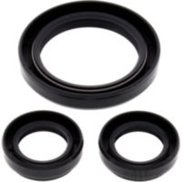 Differential Reparatursatz vorne All Balls Racing 2520285