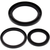 Differential Reparatursatz hinten All Balls Racing 2520335