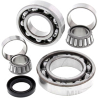 Differential Reparatursatz hinten All Balls Racing 252038