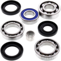 Differential Reparatursatz hinten All Balls Racing 252043