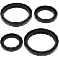 Differential Reparatursatz vorne All Balls Racing 2520505