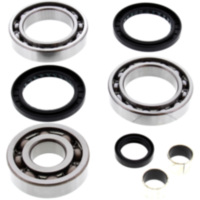 Differential Reparatursatz hinten All Balls Racing 252056