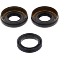 Differential Reparatursatz vorne All Balls Racing 2520605