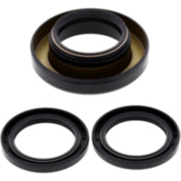 Differential Reparatursatz hinten All Balls Racing 2520615