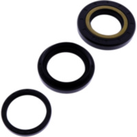 Differential Reparatursatz hinten All Balls Racing 2520705