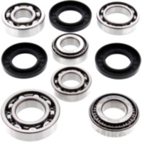 Differential Reparatursatz hinten All Balls Racing 252074