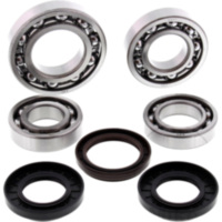 Differential Reparatursatz hinten All Balls Racing 252099