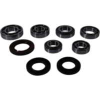 Differential Reparatursatz hinten All Balls Racing 252109