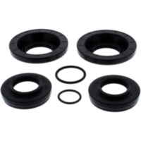 Differential Reparatursatz hinten All Balls Racing 2521115