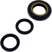 Differential Reparatursatz hinten All Balls Racing 2520795