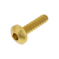 Schraube Selbstschneidend