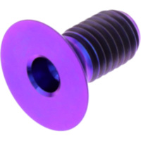 Senkschraube TICS816P