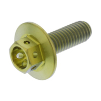 Schraube 6 Kant TISPHX618RG