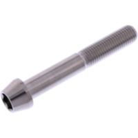 Schraube konisch LSSSC1065F