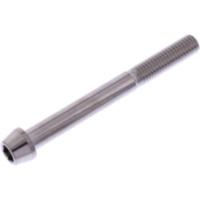 Schraube konisch LSSSC875