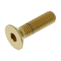 Senkschraube LSSCS830G