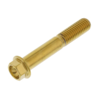 Schraube 6 Kant LSSHX1060G