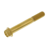 Schraube 6 Kant LSSHX1070FG