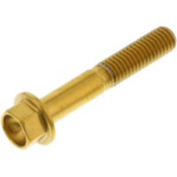 Schraube 6 Kant LSSHX530G