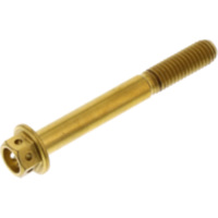 Schraube 6 Kant LSSHX650RG