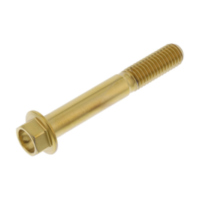 Schraube 6 Kant LSSHX855G