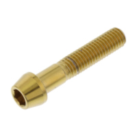 Schraube konisch LSSSC840G