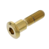 Schraube Bremsscheibe LSSDISCGSXRG