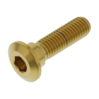 Schraube Bremsscheibe LSSDISCKAWSUZG