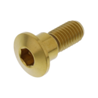 Schraube Bremsscheibe LSSDISCSUZ20G