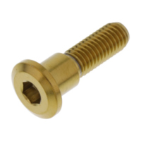 Schraube Bremsscheibe LSSDISCTRIFRG