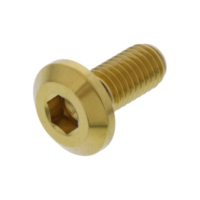 Schraube Bremsscheibe LSSDISCTRIREG