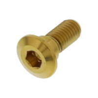 Schraube Bremsscheibe LSSDISCYAM20G