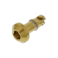 Schnellverschlussschraube LSSQRCLIPAK17G