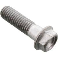 Schraube Kettenrad für: Aprilia Originalersatzteil AP8152318