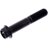 Schraube 6 Kant TIHX1055FRBK